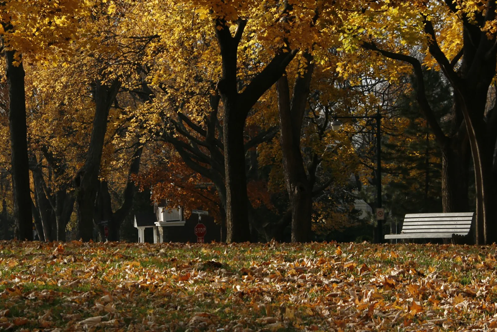 Autumn scenery at Le Russell