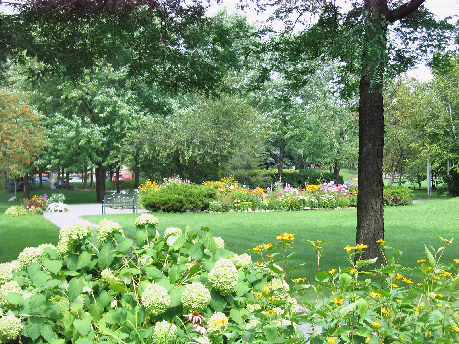 Summer scenery at Le Russell