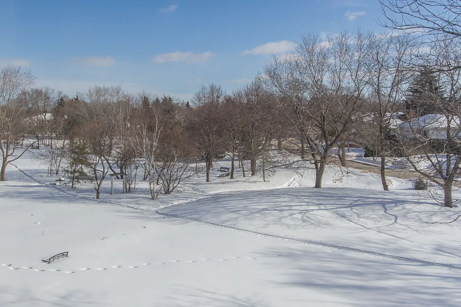 Winter scenery at Le Russell